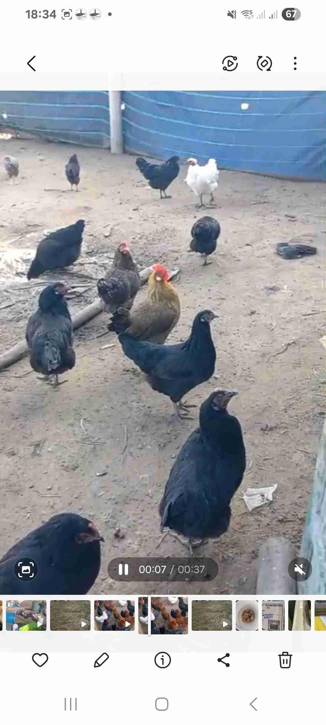 للبيع