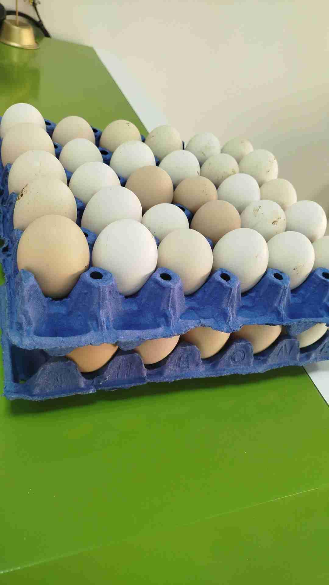 سيدي يحيى تنجداد