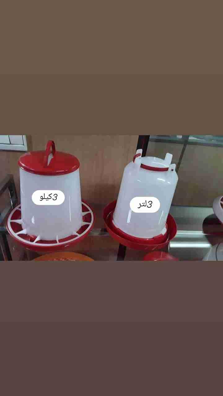 وكالات وشرابات دواجن