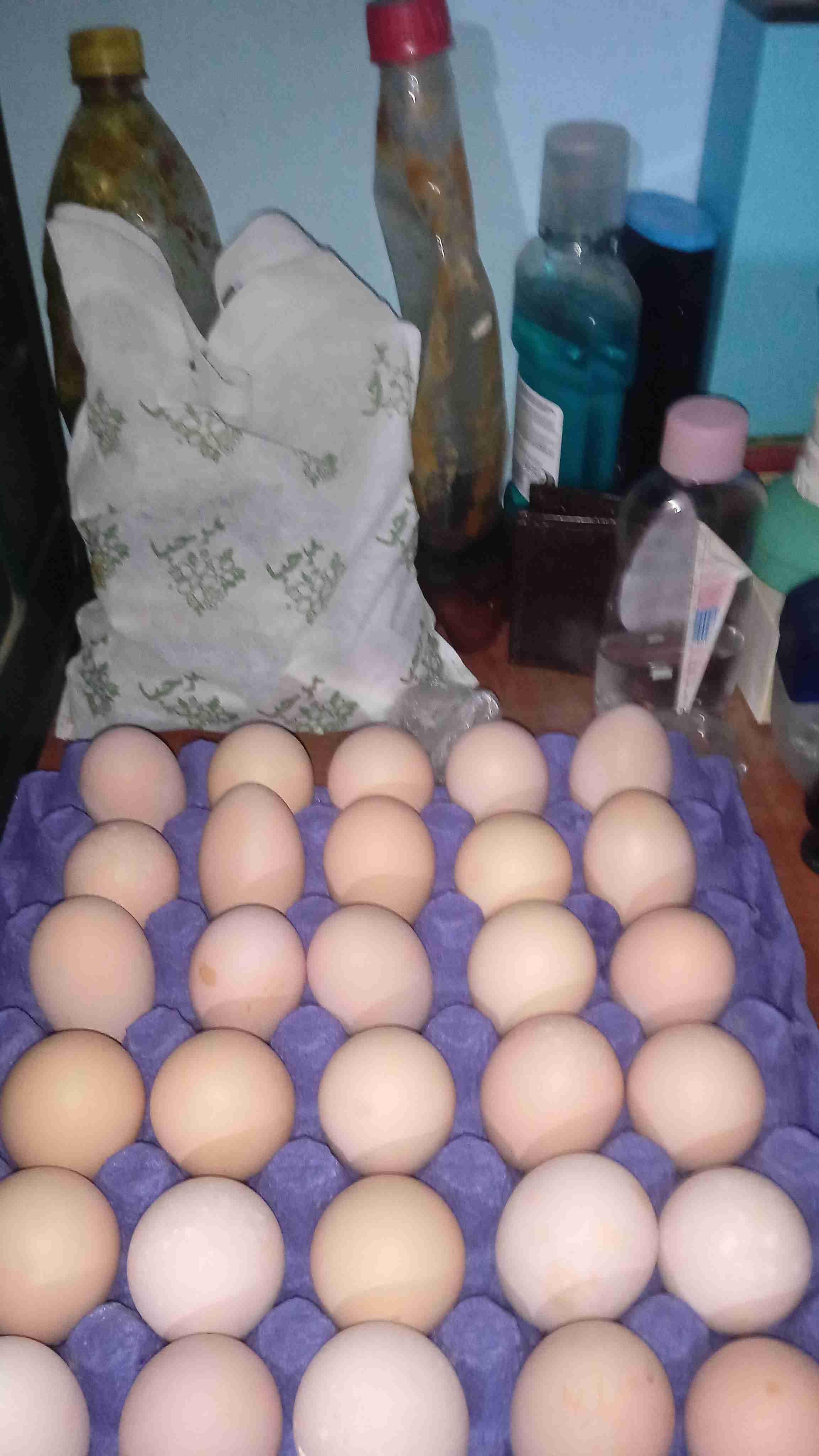 مدينه وجده حي النهضه بجوج