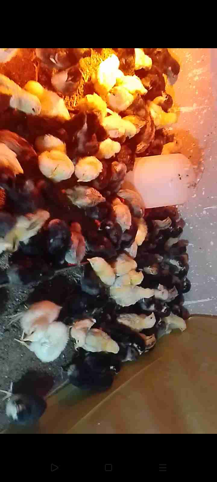مراكش