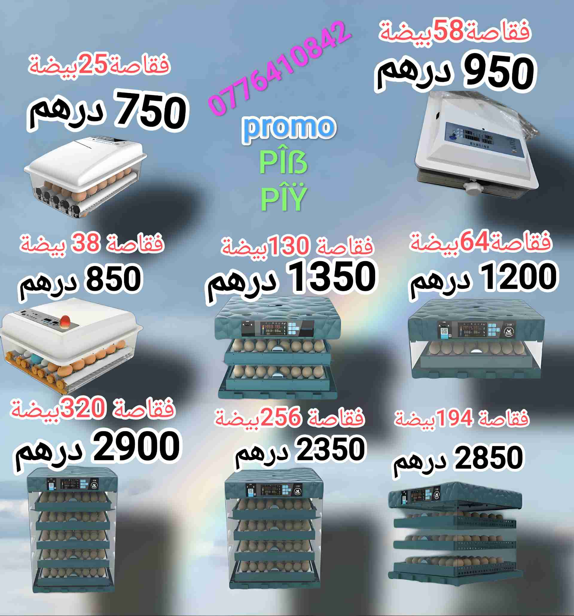 فقاصة البيض