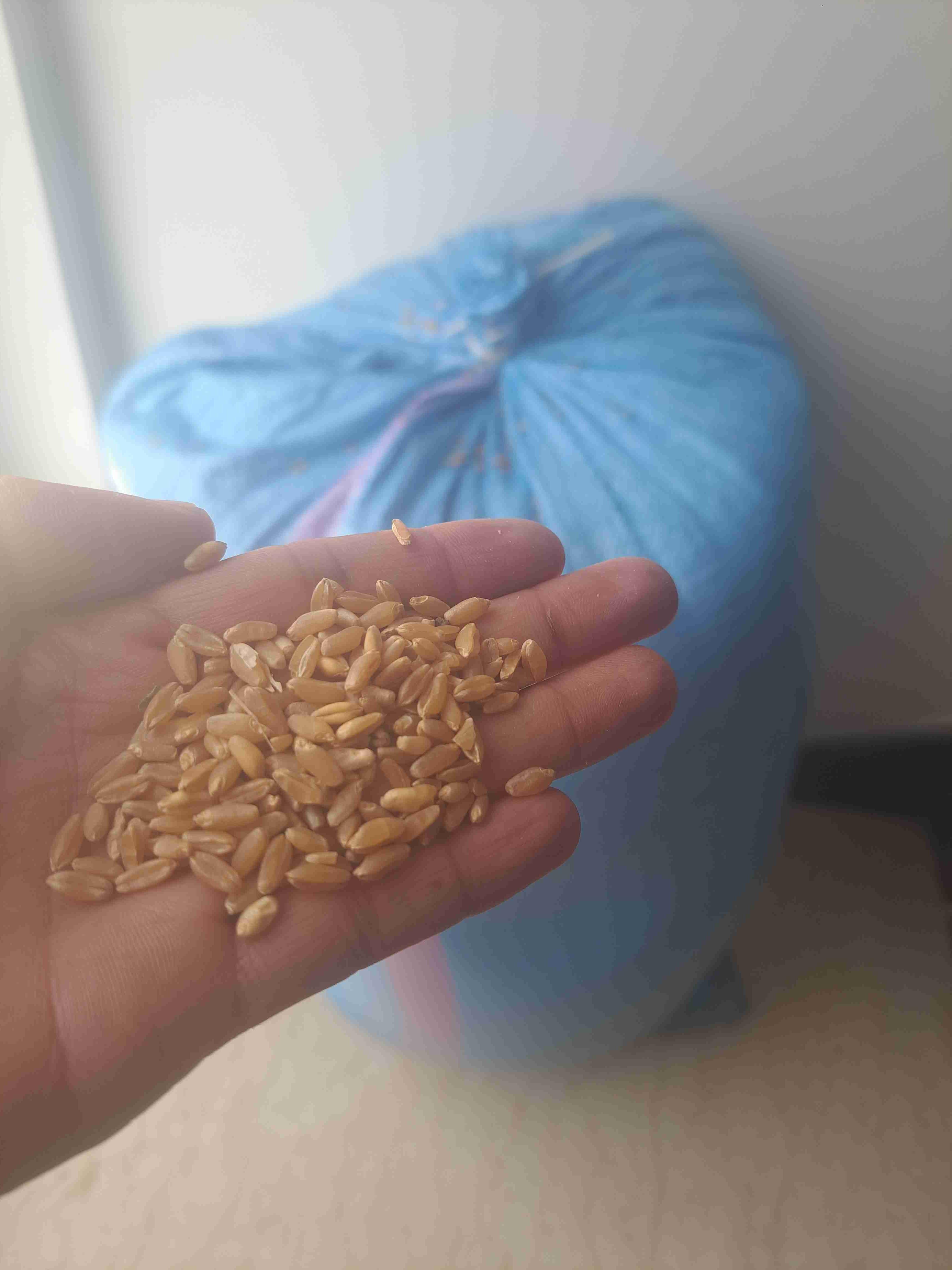 بني ملال