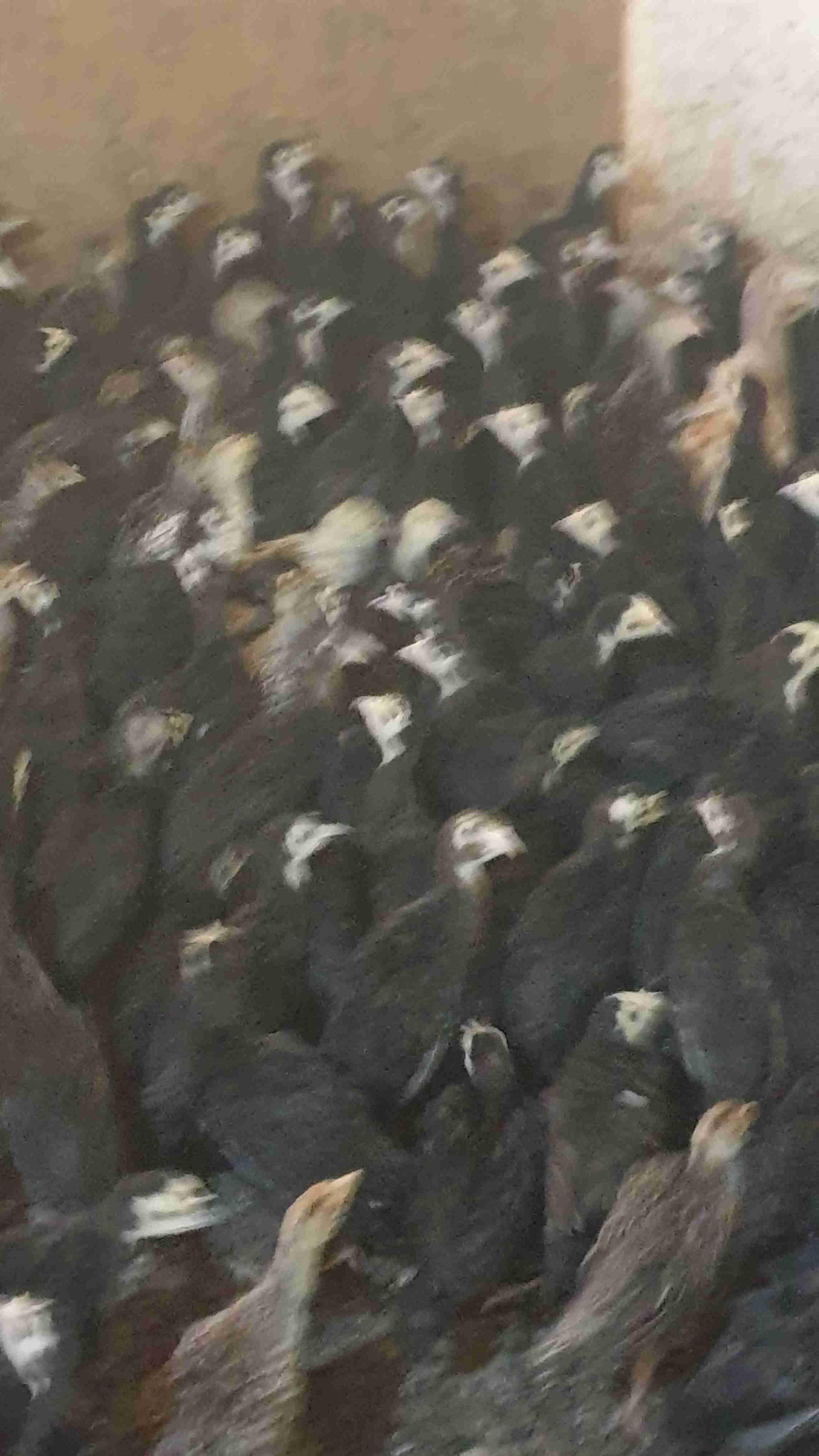احد بوموسى نواحي فقيه بن صالح