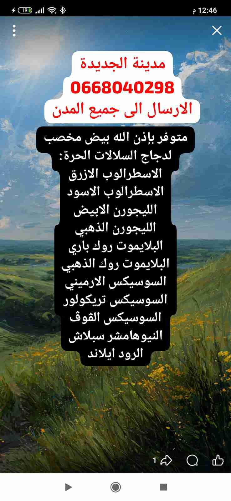 الجديدة