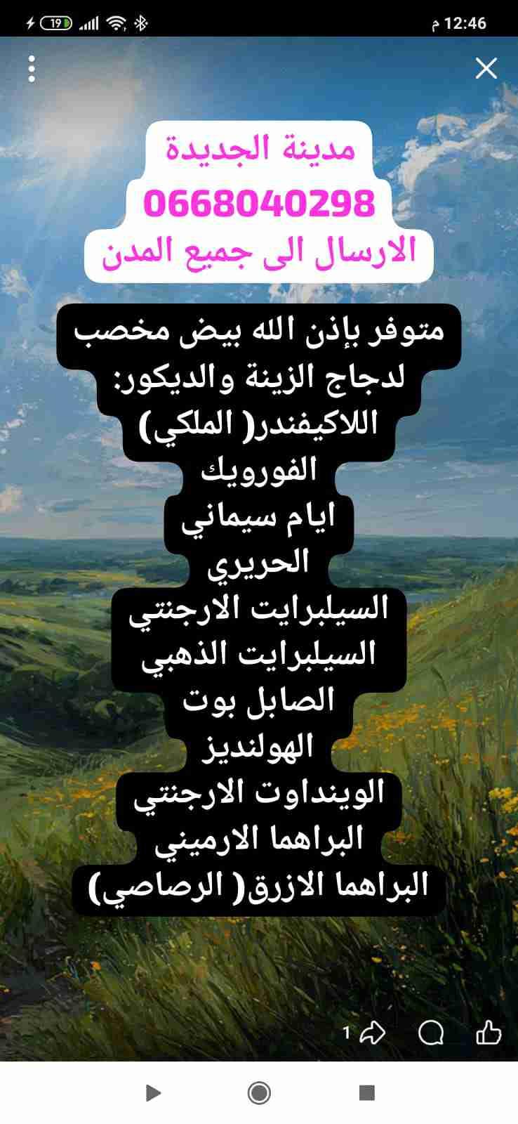 الجديدة