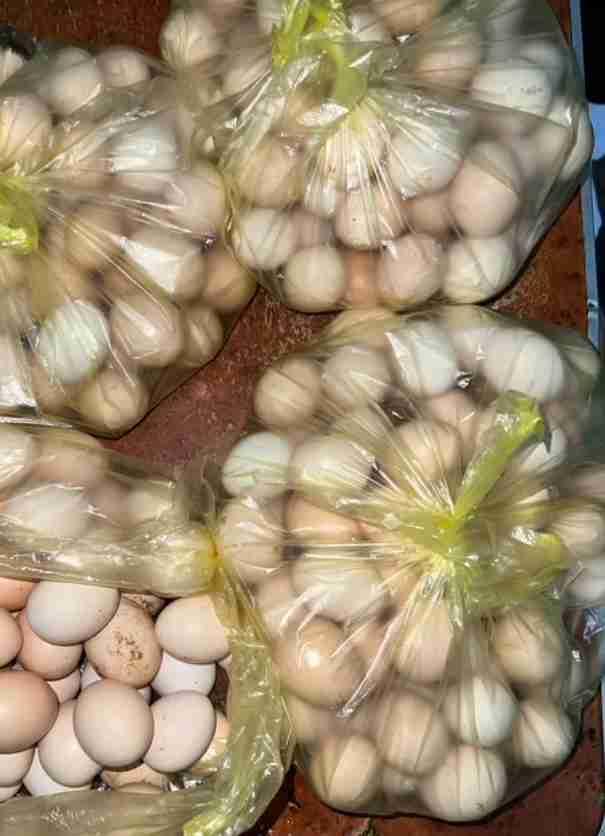 نواحي مراكش