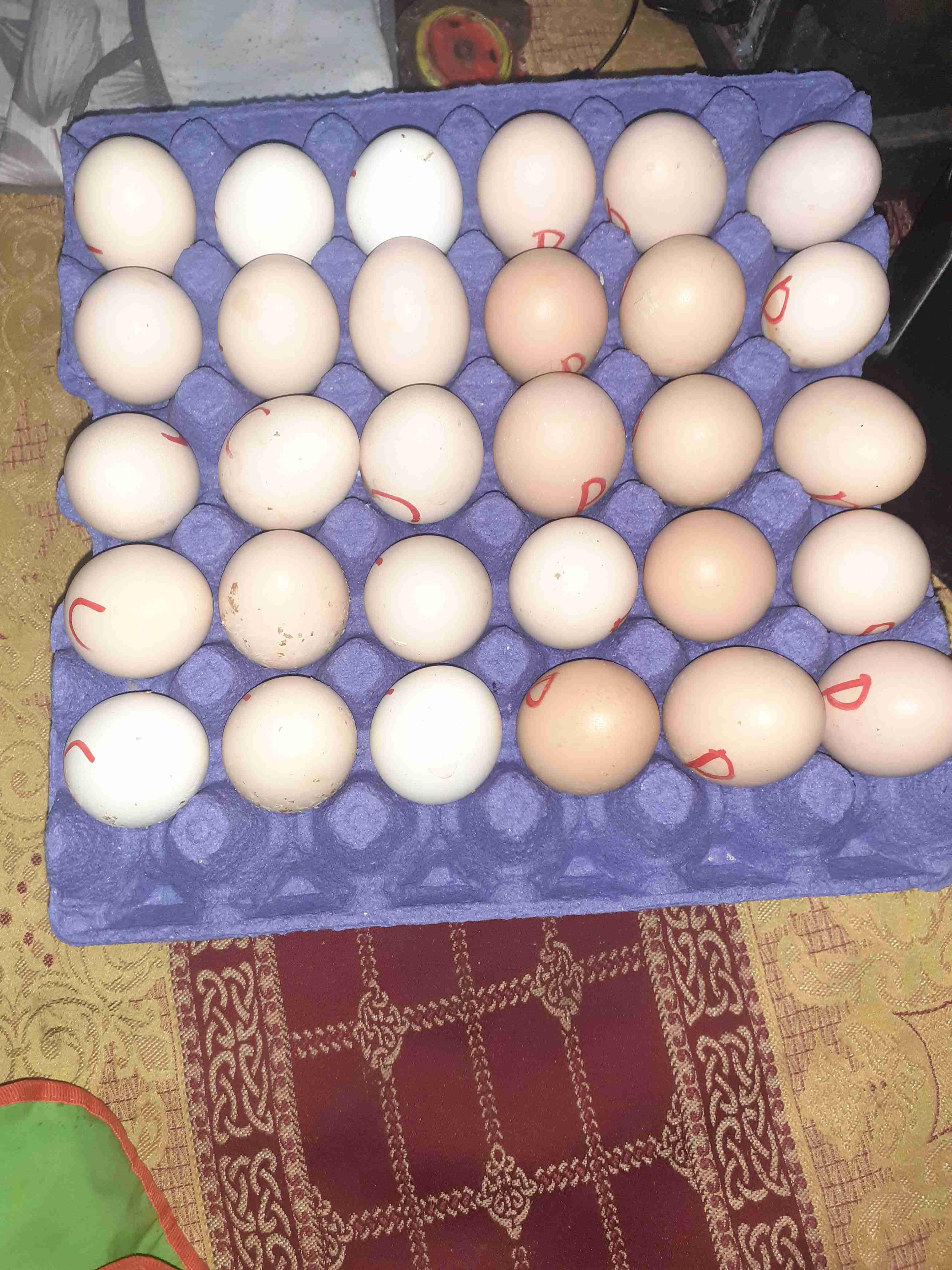 الدار البيضاء