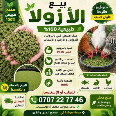 أزولا نيليتوكيا الحرة