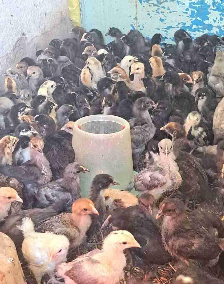مرحبا بالجميع