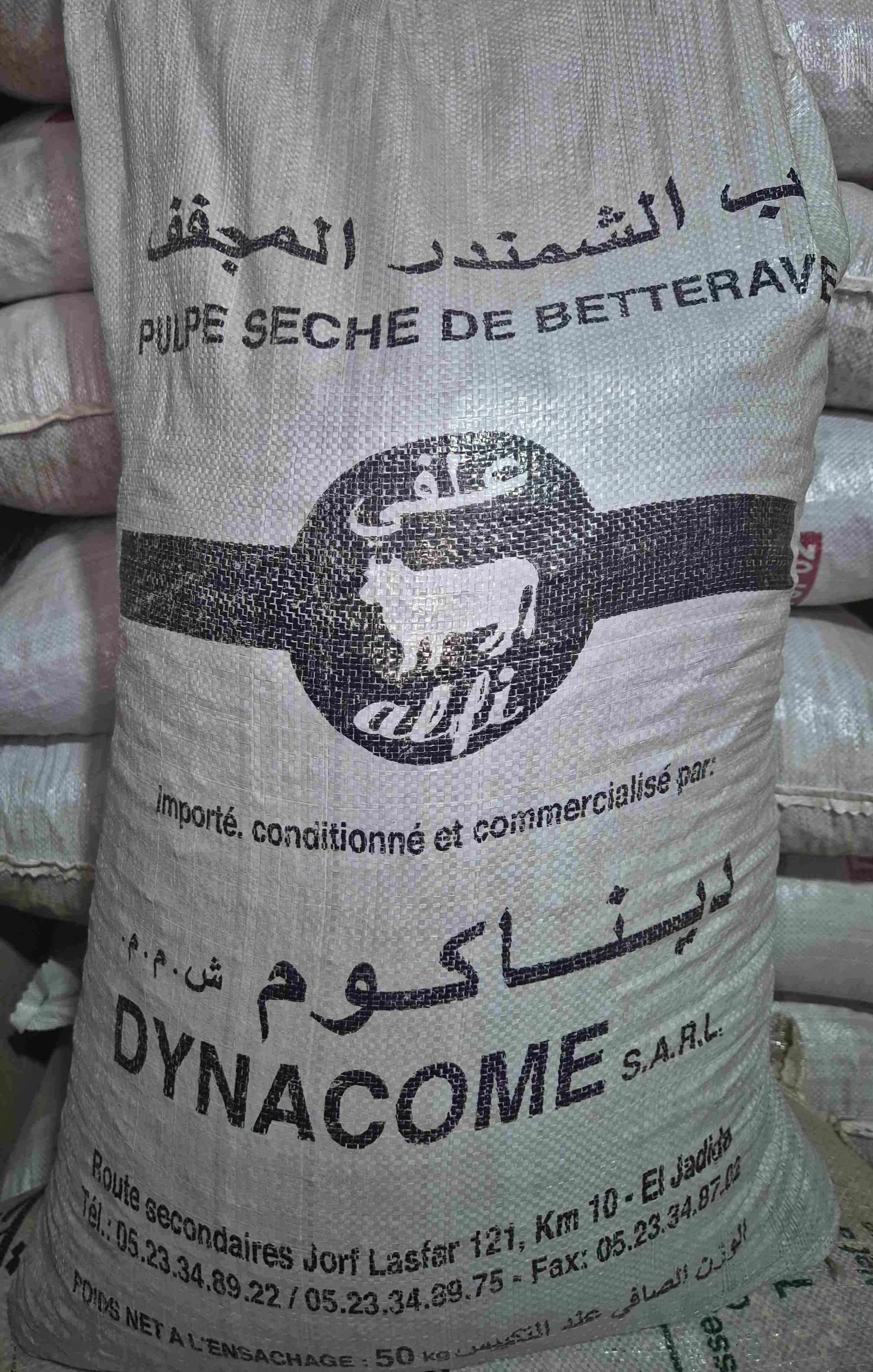شمندر (ديناكوم)