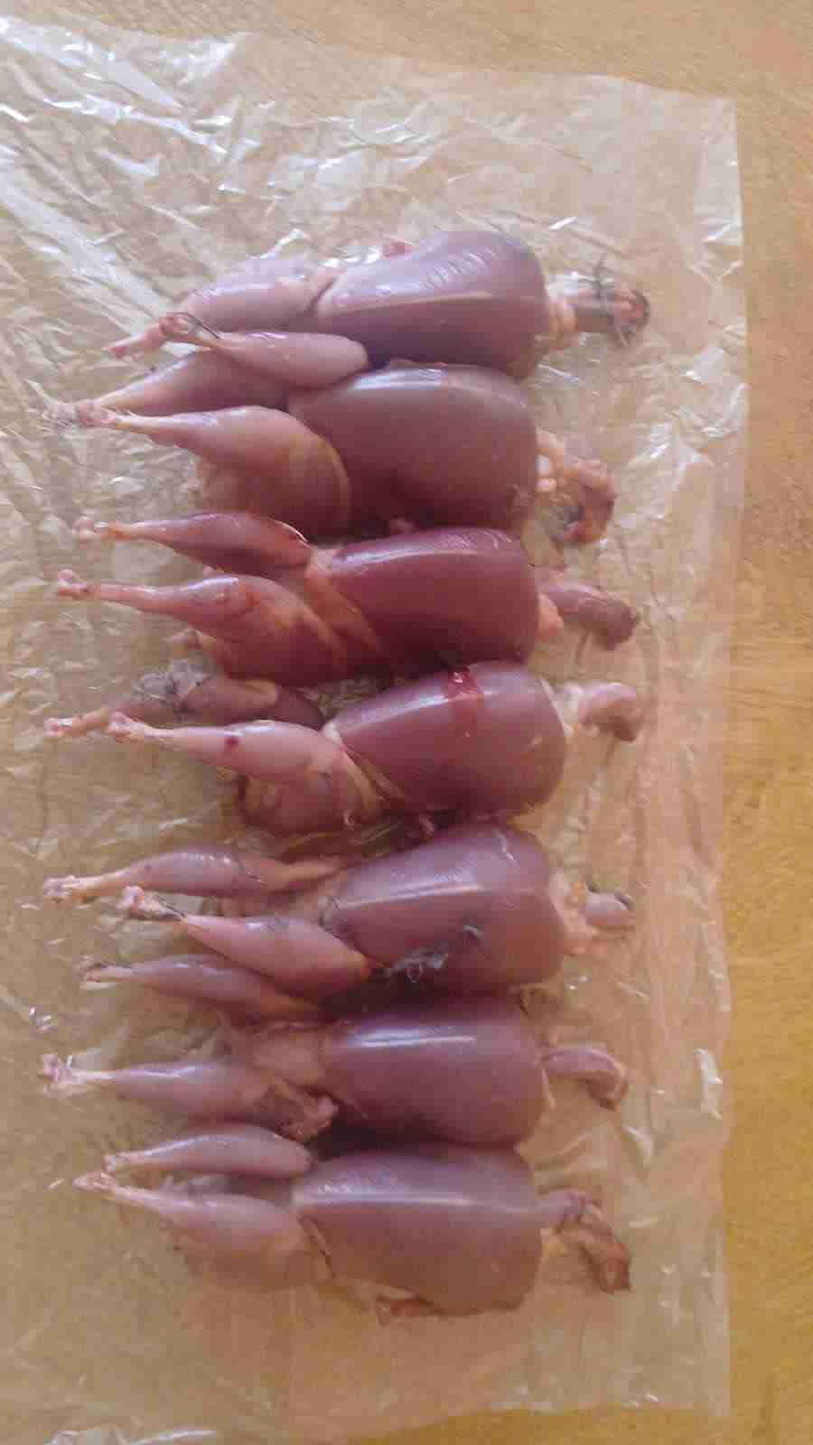 لحم السمان بجودة عالية