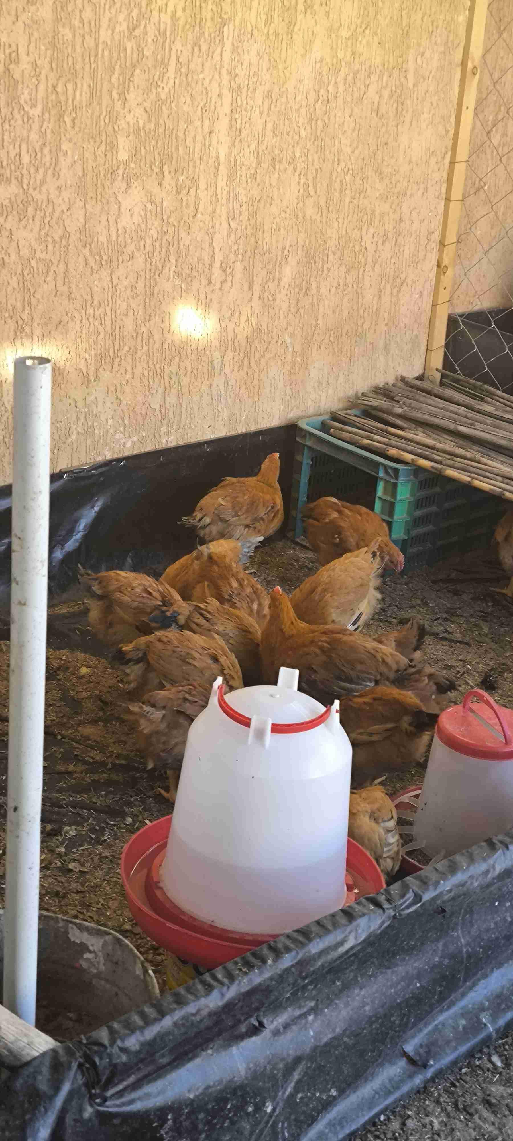 بني ملال