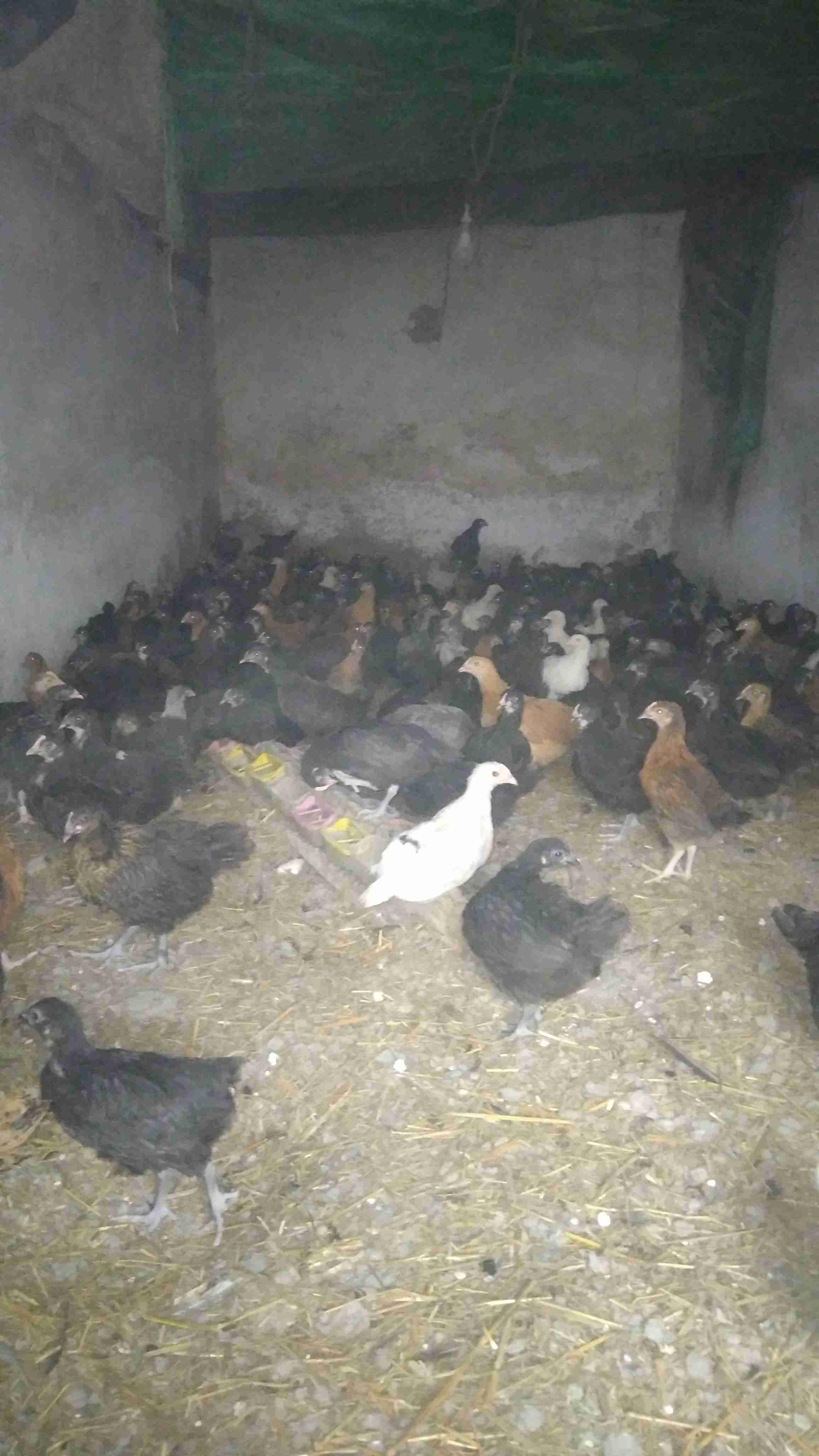 البروج 0650359183 الوتساب