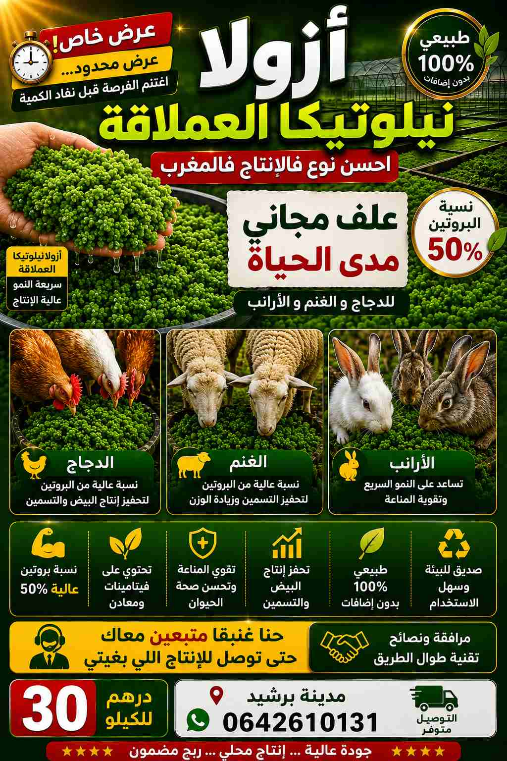 بغيتي يكون عندك اكتفا.ء داتي فالعلف ا المشروع تاعك تاع الدواجن و الغنم يكون ناجح 100 % قرا لتحت👇بغيتي تهنا من مصاريف العلف ا دير علف مجاني مدى الحياة ا تقدر تولي تبيع منو ا يولي عندك مدخولازو