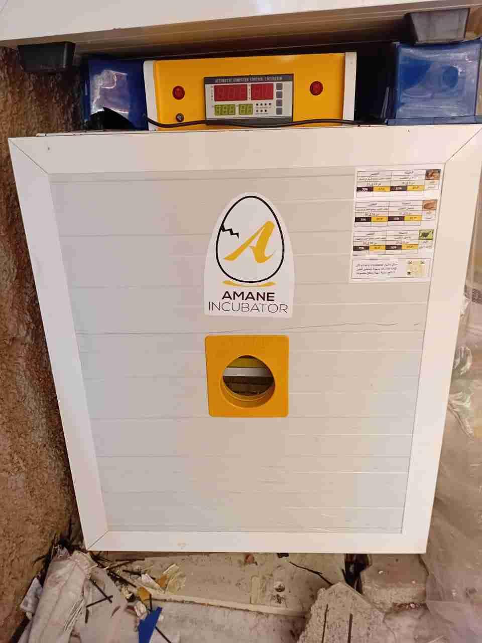 فقص جود ممتاز تمن قبيل لي تفود
