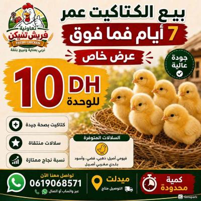 متوفر 15يوم فما فوق