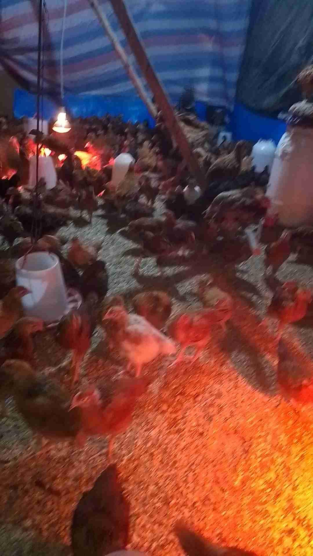 0638886460 وتساب