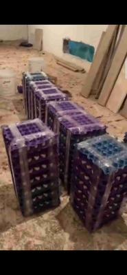 بيظ فيومي مخصب جاهز لي تفقيص