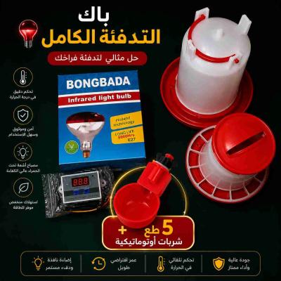 باك صيغي للكتاكيت