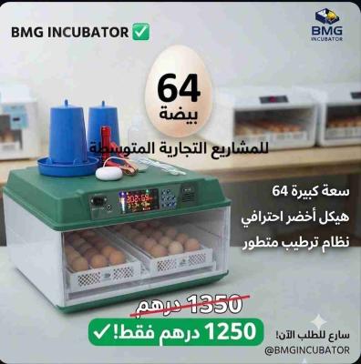 أكادير