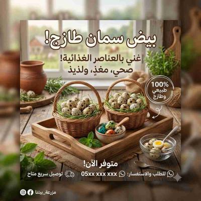 بيض السمان للإستهلاك، طري و طازج