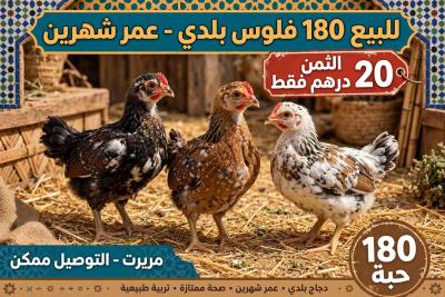مريرت