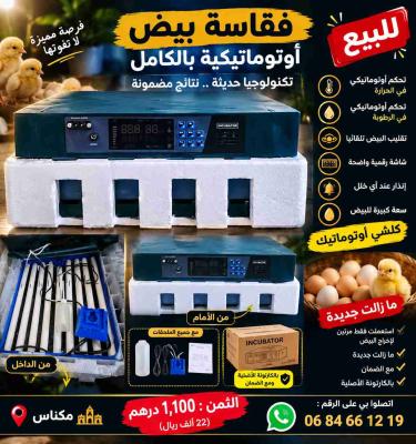 السلام عليكم الاخوان كاينه عندي هذا الفقاصه مستعمله يلاه خدمت بها جوج د المرات ومازال جديده اللي شاري معقول مرحبا المدينه مكناس
